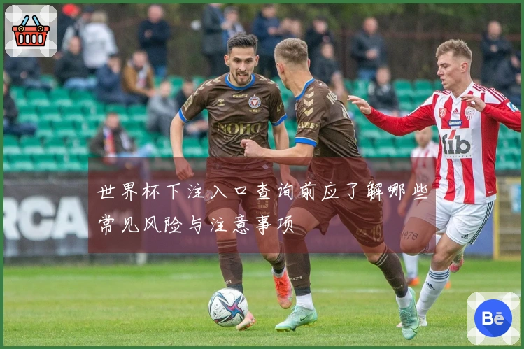 世界杯下注入口查询前应了解哪些常见风险与注意事项