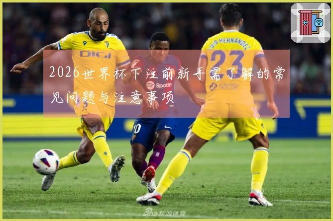 2026世界杯下注前新手需了解的常见问题与注意事项