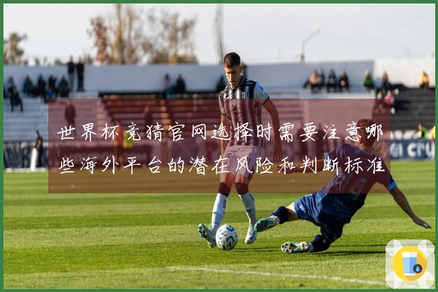 世界杯竞猜官网选择时需要注意哪些海外平台的潜在风险和判断标准