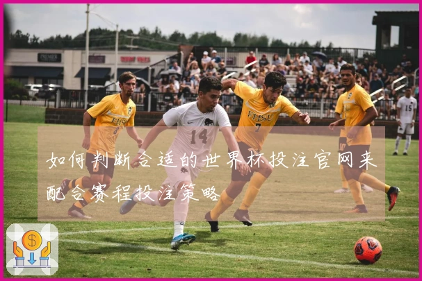 如何判断合适的世界杯投注官网来配合赛程投注策略