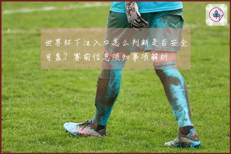 世界杯下注入口怎么判断是否安全可靠？赛前信息须知事项解析