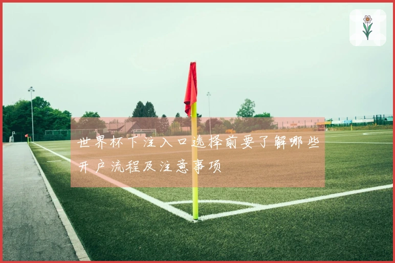 世界杯下注入口选择前要了解哪些开户流程及注意事项