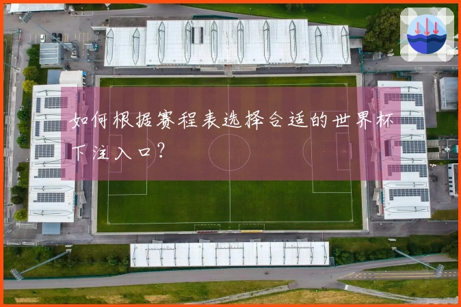 如何根据赛程表选择合适的世界杯下注入口？