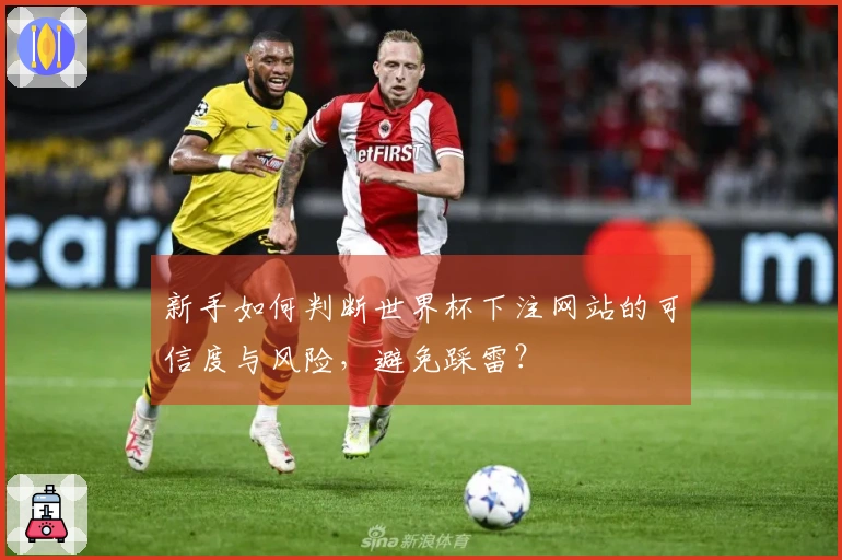 新手如何判断世界杯下注网站的可信度与风险，避免踩雷？