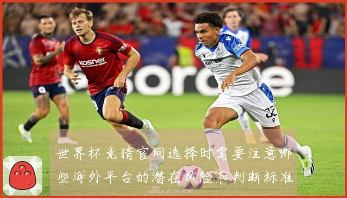 世界杯竞猜官网选择时需要注意哪些海外平台的潜在风险和判断标准