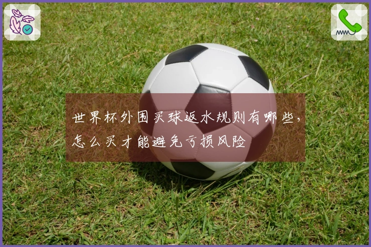 世界杯外围买球返水规则有哪些，怎么买才能避免亏损风险