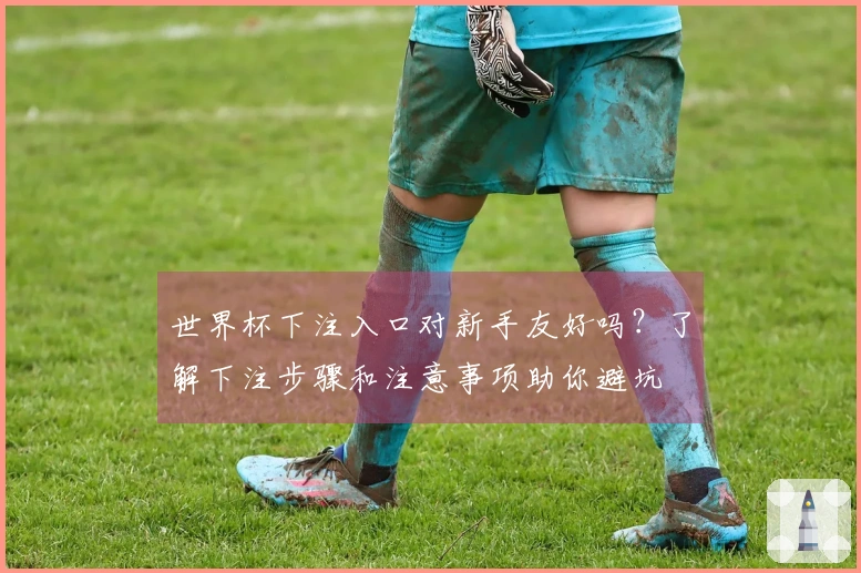 世界杯下注入口对新手友好吗？了解下注步骤和注意事项助你避坑