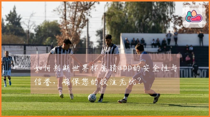 如何判断世界杯竞猜app的安全性与信誉，确保您的投注无忧？