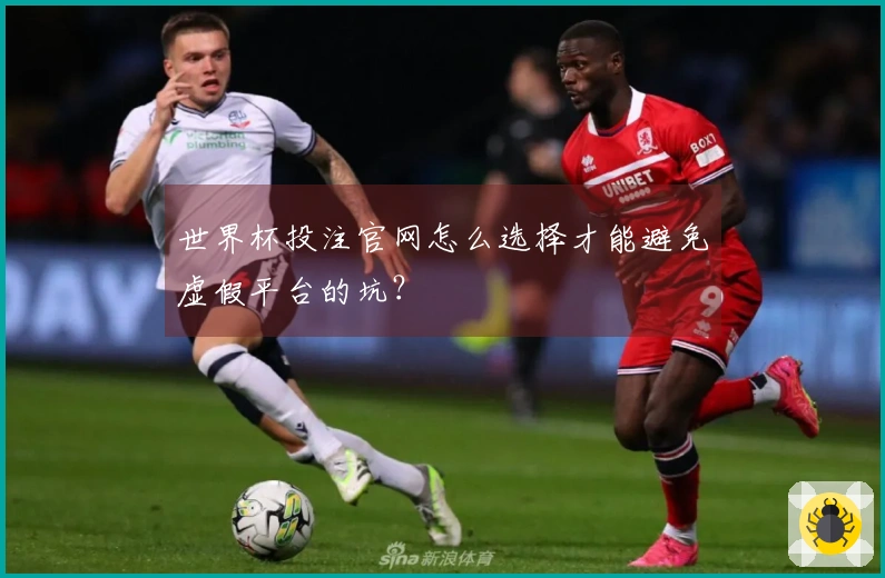 世界杯投注官网怎么选择才能避免虚假平台的坑？