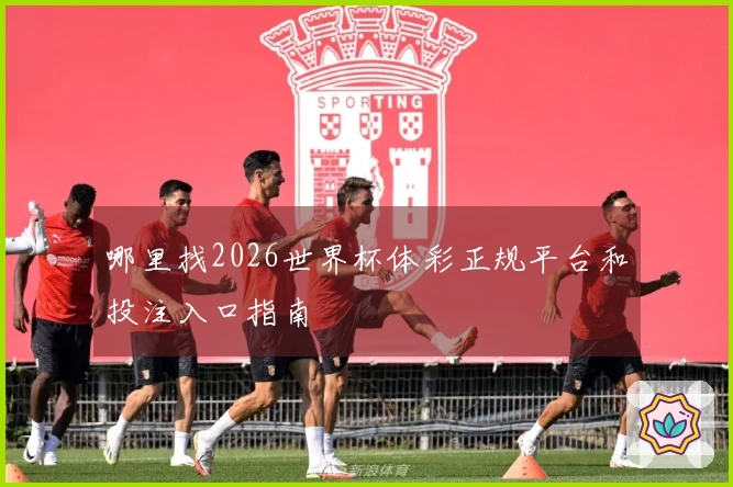 哪里找2026世界杯体彩正规平台和投注入口指南