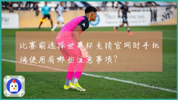比赛前选择世界杯竞猜官网时手机端使用有哪些注意事项？