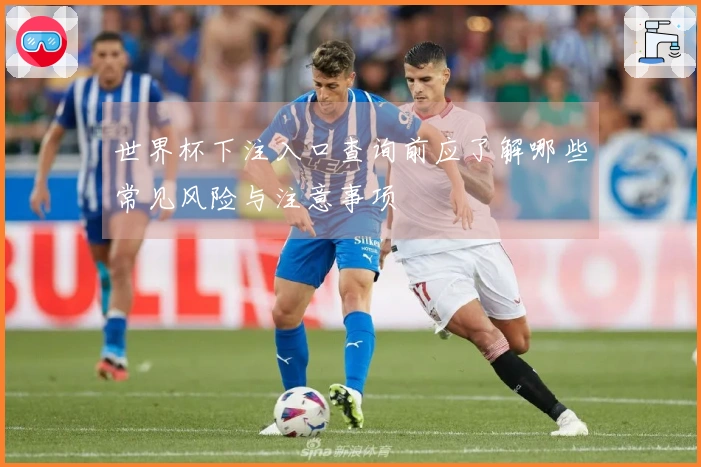 世界杯下注入口查询前应了解哪些常见风险与注意事项