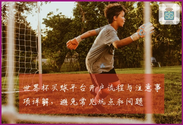 世界杯买球平台开户流程与注意事项详解，避免常见坑点和问题