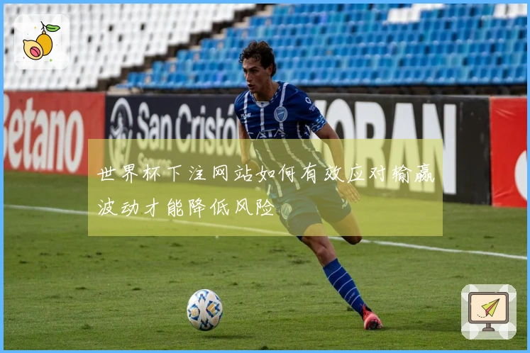 世界杯下注网站如何有效应对输赢波动才能降低风险