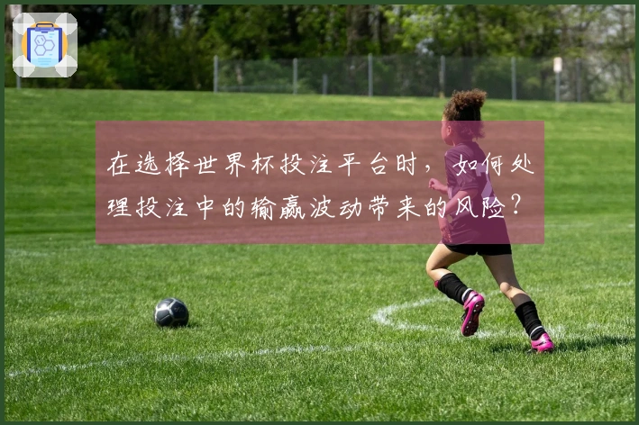 在选择世界杯投注平台时，如何处理投注中的输赢波动带来的风险？