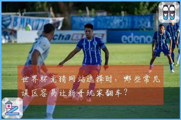 世界杯竞猜网站选择时，哪些常见误区容易让新手玩家翻车？