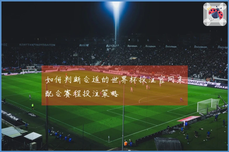 如何判断合适的世界杯投注官网来配合赛程投注策略