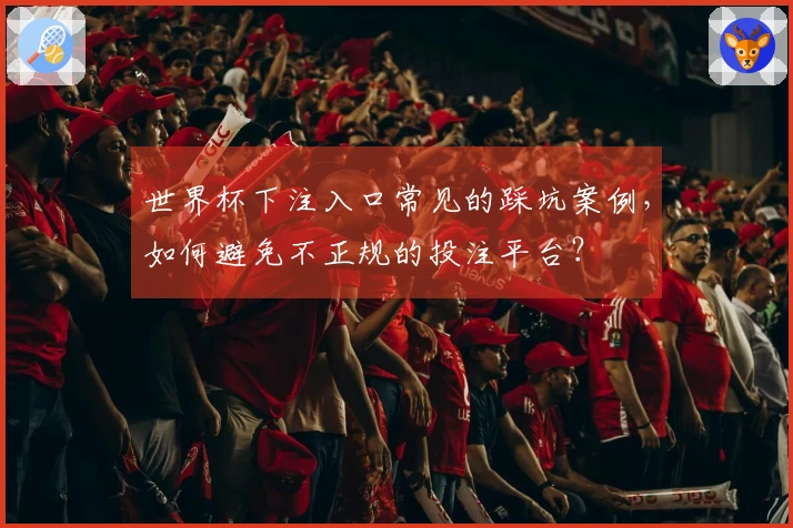 世界杯下注入口常见的踩坑案例，如何避免不正规的投注平台？