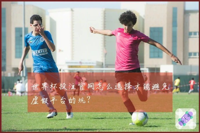 世界杯投注官网怎么选择才能避免虚假平台的坑？
