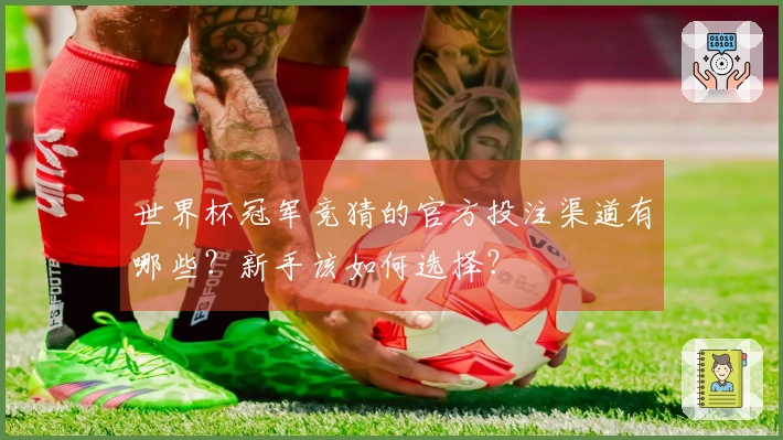 世界杯冠军竞猜的官方投注渠道有哪些？新手该如何选择？