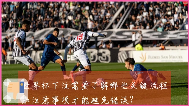 世界杯下注需要了解哪些关键流程和注意事项才能避免错误？