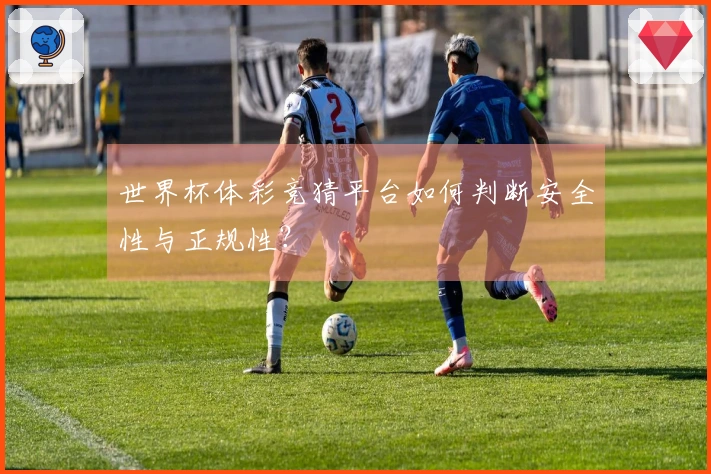 世界杯体彩竞猜平台如何判断安全性与正规性？