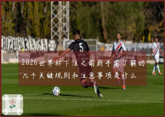 2026世界杯下注之前新手需了解的几个关键规则和注意事项是什么