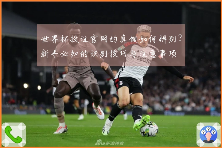 世界杯投注官网的真假如何辨别？新手必知的识别技巧与注意事项