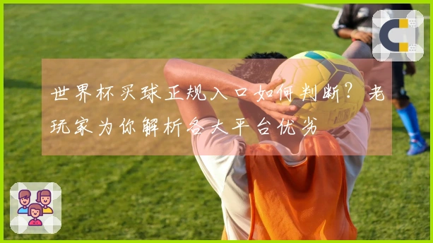 世界杯买球正规入口如何判断？老玩家为你解析各大平台优劣